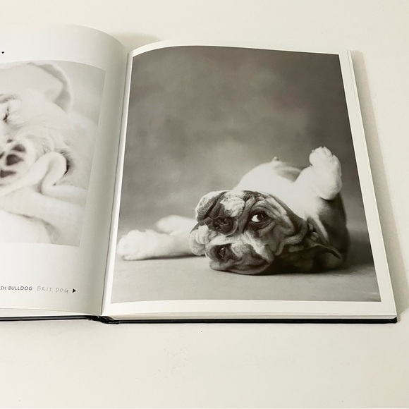 101 Salivations For The Love of Dogs Rachael Hale Book - Picture 8 of 16